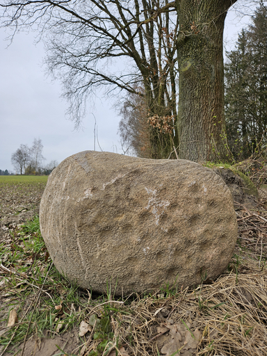 Der Schalenstein am Feldrand in Issendorf (Foto: Daniel Nösler, Lkr. Stade)