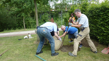 Der Schalenstein wird im Klosterpark in Position gebracht (Foto: Dietrich Alsdorf)