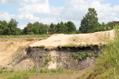 Die Schicht im Profil der Sandgrube (Foto: Daniel Nösler, Lkr. Stade)